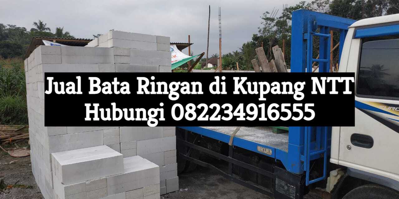 jual bata ringan di kupang ntt